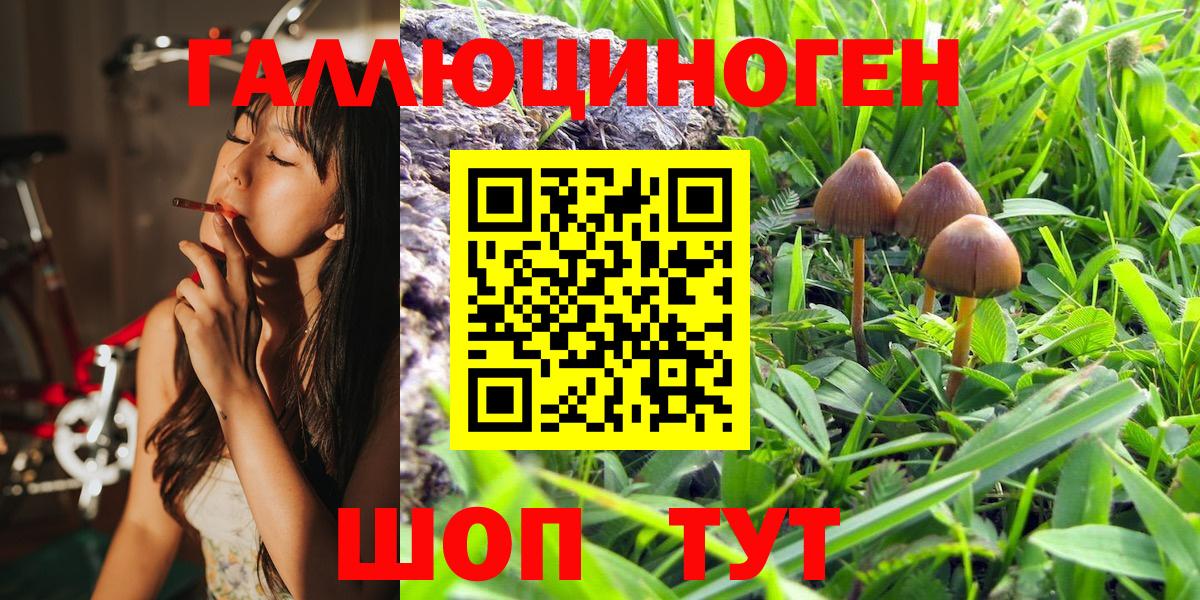 Псилоцибиновые грибы Magic Shrooms Буйнакск