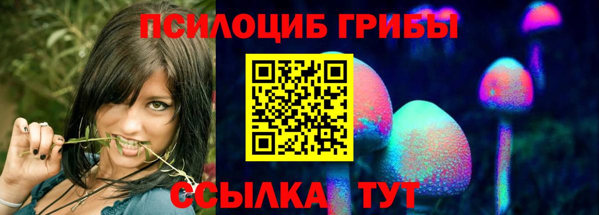 Галлюциногенные грибы Psilocybe  наркотики  Буйнакск  Вход с VPN 